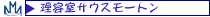 ���e���T�E�X���[�g����